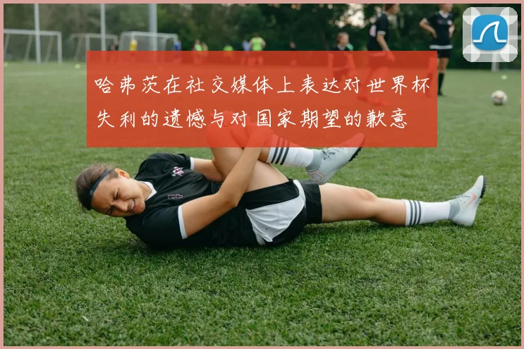 哈弗茨在社交媒体上表达对世界杯失利的遗憾与对国家期望的歉意