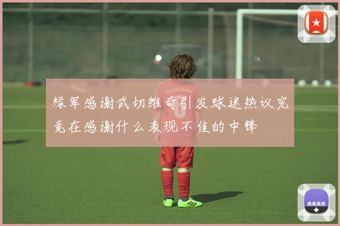 绿军感谢武切维奇引发球迷热议究竟在感谢什么表现不佳的中锋