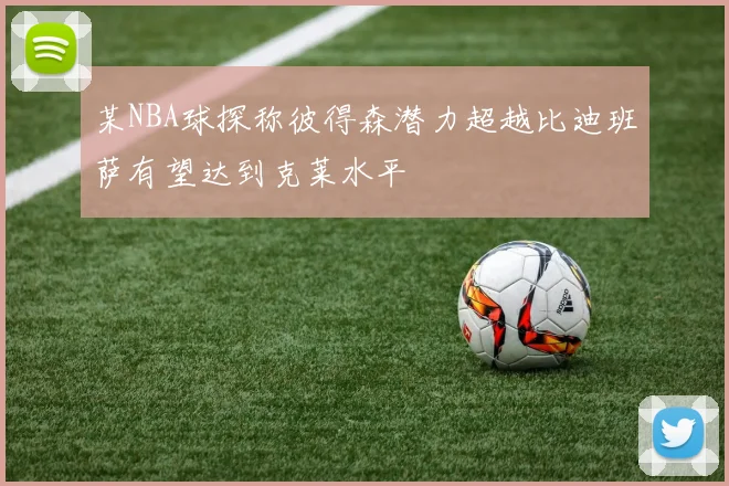 某NBA球探称彼得森潜力超越比迪班萨有望达到克莱水平